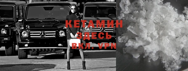 шишки Аркадак