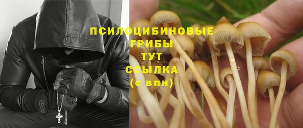 таблы Армянск