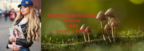 apvp Арсеньев