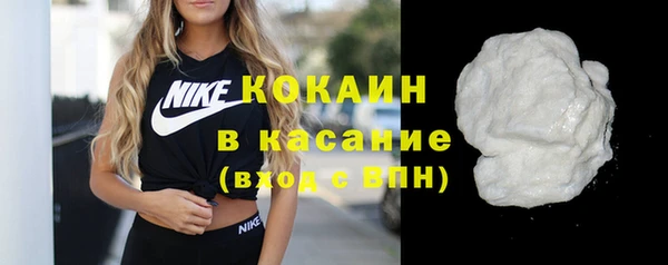 шишки Аркадак
