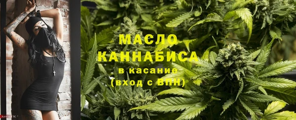 шишки Аркадак