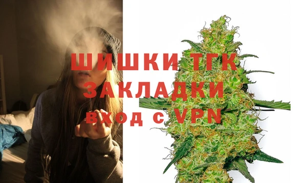 шишки Аркадак