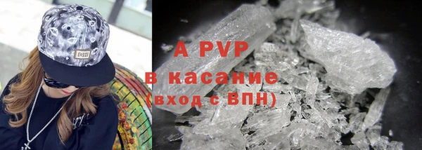 шишки Аркадак