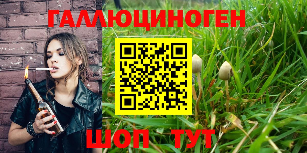 Галлюциногенные грибы Magic Shrooms  Вход с VPN  Гурьевск 